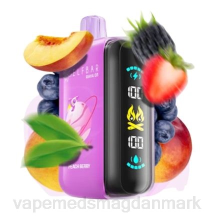 Vape Med Smag - Elf Bar Raya D3 25.000 engangs B4PH1