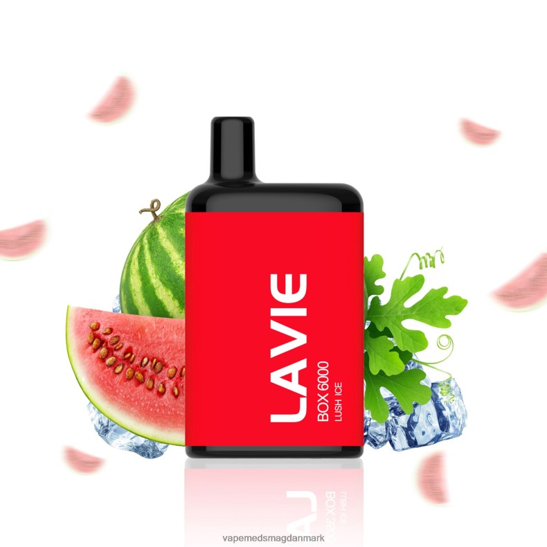 Disposable Vape Danmark - LAVIE BOX 6000 pust frodig is J6TD6199