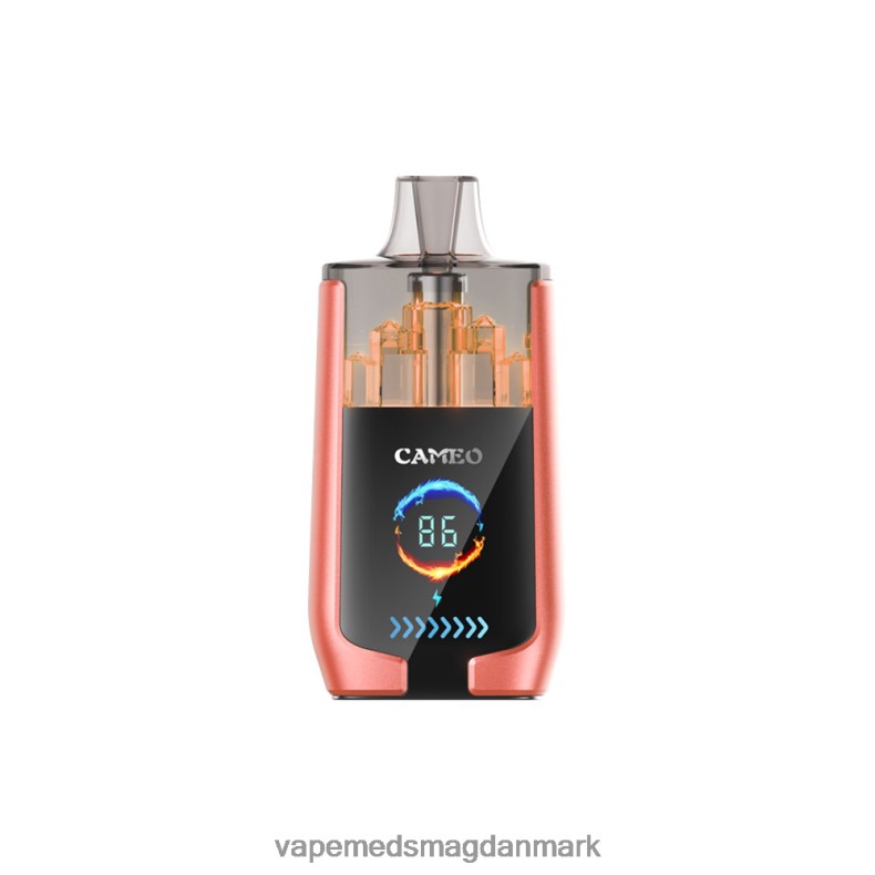 Disposable Vape Danmark - LAVIE CAMEO 30000 pust jordbær vandmelon J6TD624