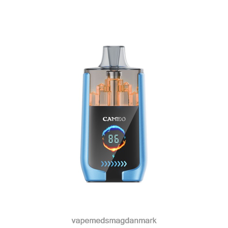 Vape Juice - LAVIE CAMEO 30000 pust jordbæris J6TD613