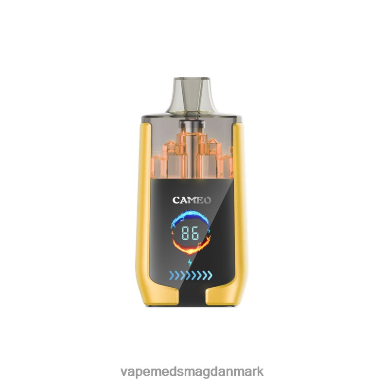 Vape Med Smag - LAVIE CAMEO 30000 pust mango is J6TD621