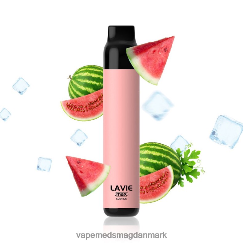 Vape Uden Nikotin - LAVIE BAR 5000 sug - max frodig is J6TD6277