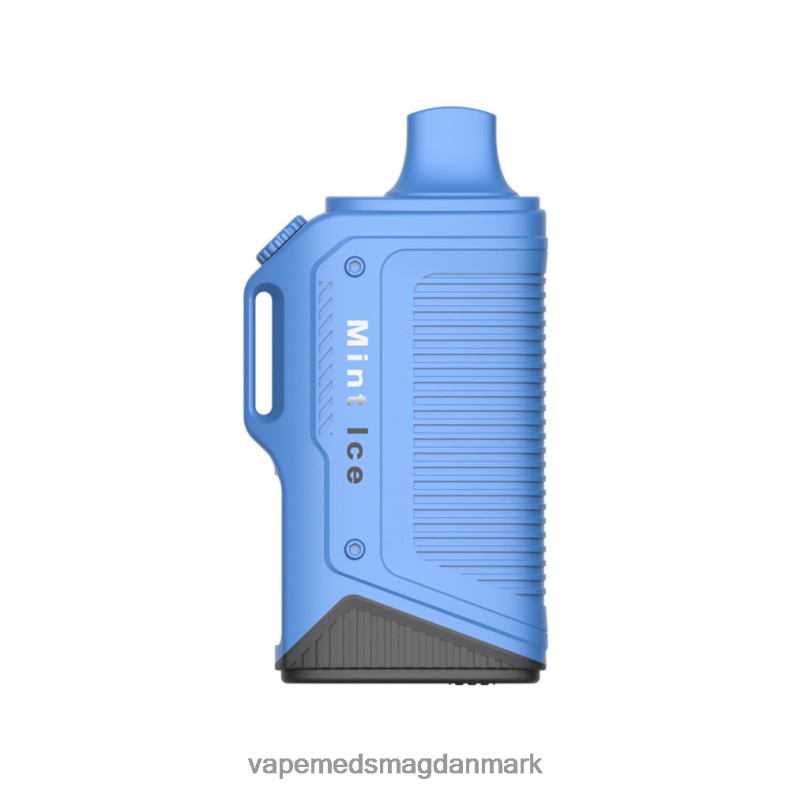 Vape Uden Nikotin - LAVIE Energy Box 15000 pust mynteis J6TD672