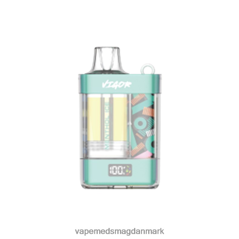 Vape Uden Nikotin - LAVIE VIGOR 15000 pust menthol is J6TD62