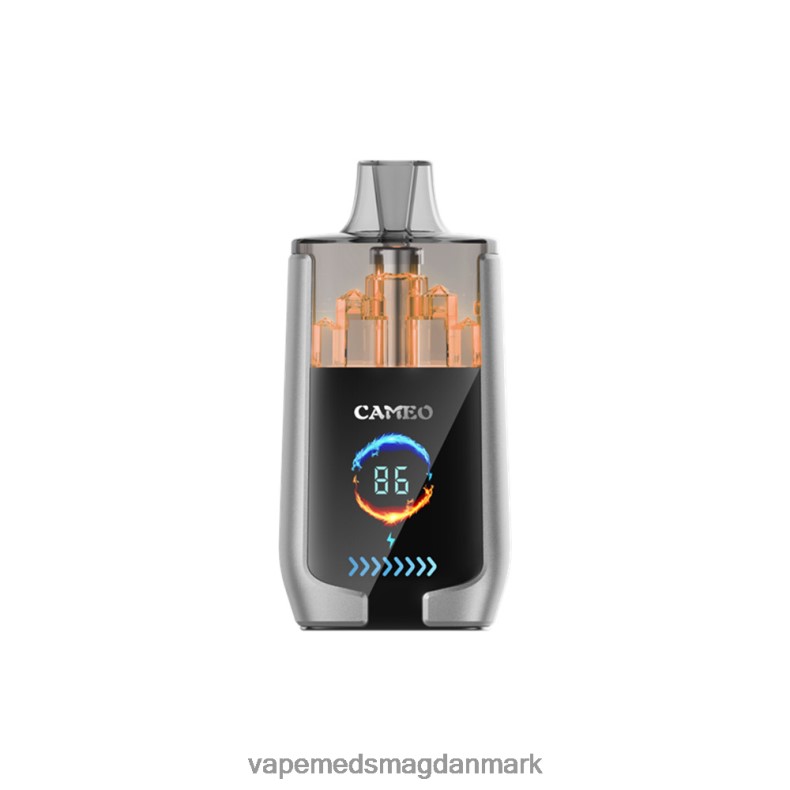 Vape Væske - LAVIE CAMEO 30000 pust blåbæris J6TD615